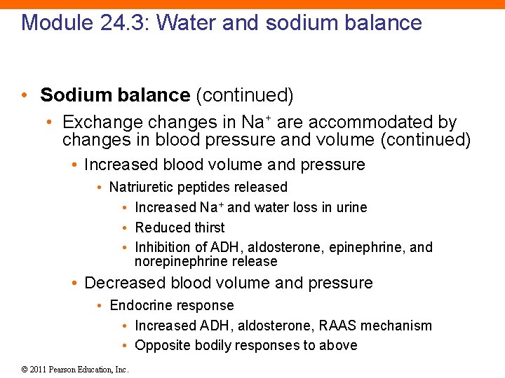 Module 24. 3: Water and sodium balance • Sodium balance (continued) • Exchanges in