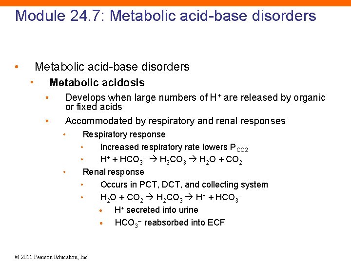 Module 24. 7: Metabolic acid-base disorders • Metabolic acidosis • • Develops when large