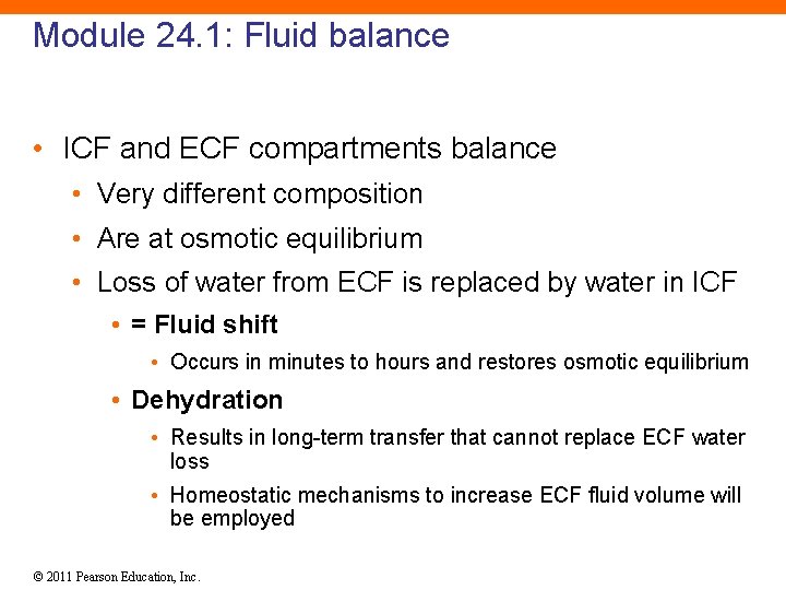 Module 24. 1: Fluid balance • ICF and ECF compartments balance • Very different