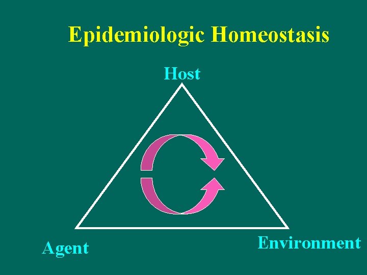 Epidemiologic Homeostasis Host Agent Environment 