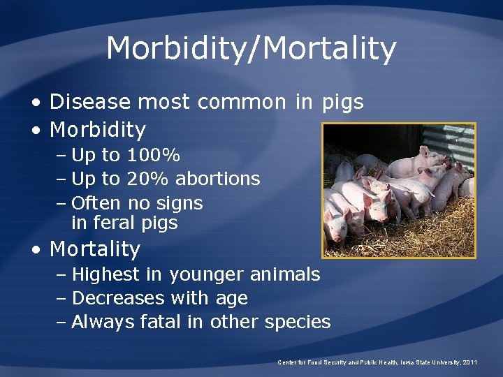 Morbidity/Mortality • Disease most common in pigs • Morbidity – Up to 100% –