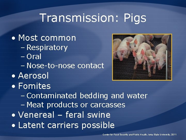 Transmission: Pigs • Most common – Respiratory – Oral – Nose-to-nose contact • Aerosol