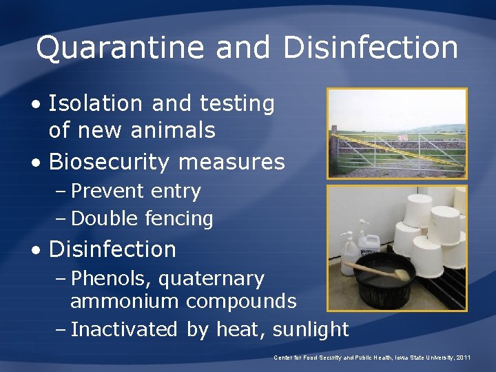 Quarantine and Disinfection • Isolation and testing of new animals • Biosecurity measures –