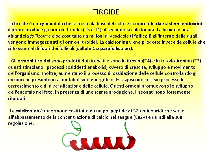 TIROIDE La tiroide è una ghiandola che si trova ala base del collo e