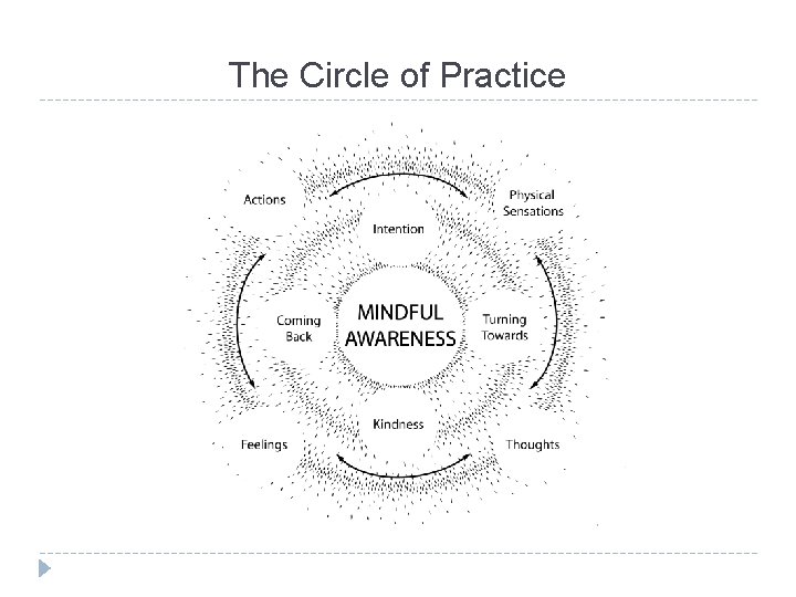 The Circle of Practice 