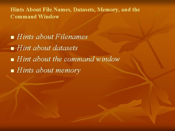 Hints About File Names, Datasets, Memory, and the Command Window n n Hints about