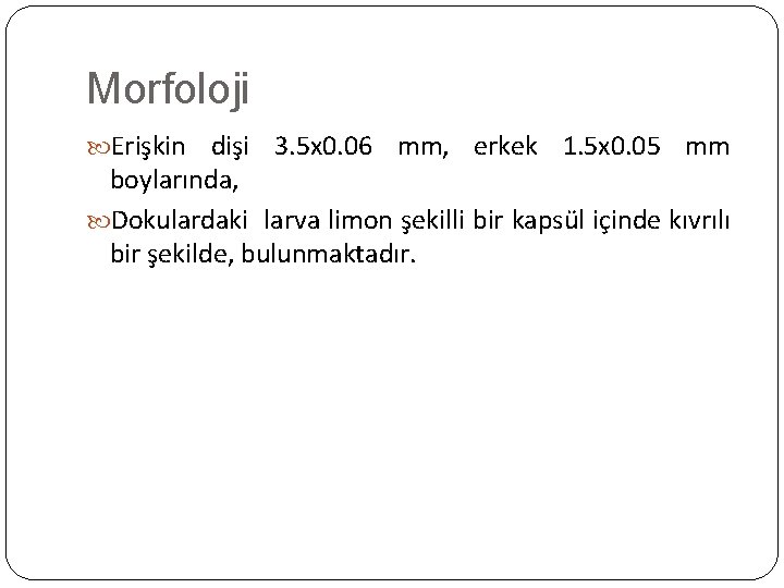 Morfoloji Erişkin dişi 3. 5 x 0. 06 mm, erkek 1. 5 x 0.