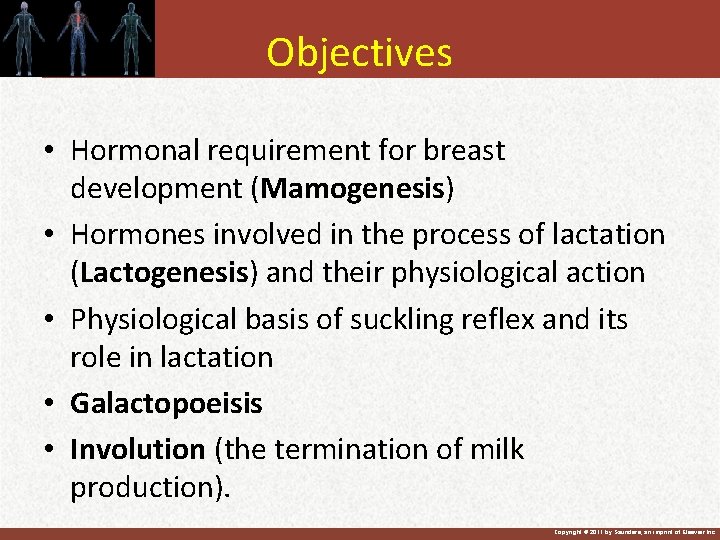 Objectives • Hormonal requirement for breast development (Mamogenesis) • Hormones involved in the process