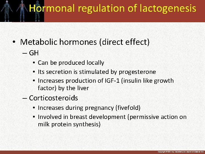 Hormonal regulation of lactogenesis • Metabolic hormones (direct effect) – GH • Can be