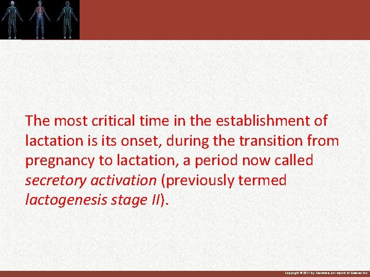 The most critical time in the establishment of lactation is its onset, during the