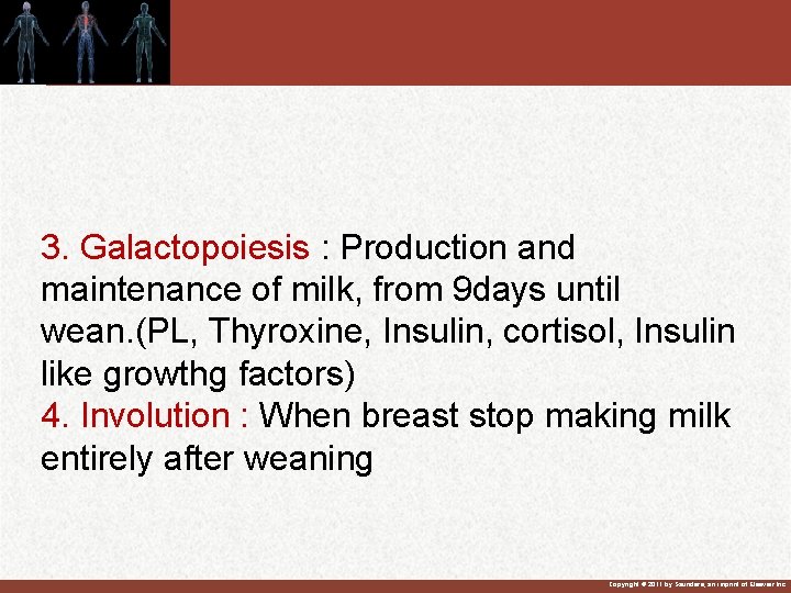 3. Galactopoiesis : Production and maintenance of milk, from 9 days until wean. (PL,