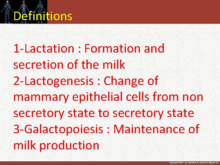 Definitions 1 -Lactation : Formation and secretion of the milk 2 -Lactogenesis : Change