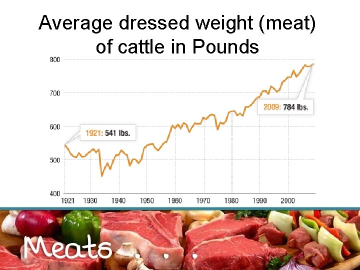 Average dressed weight (meat) of cattle in Pounds 