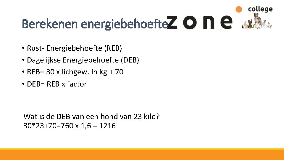 Berekenen energiebehoefte • Rust- Energiebehoefte (REB) • Dagelijkse Energiebehoefte (DEB) • REB= 30 x