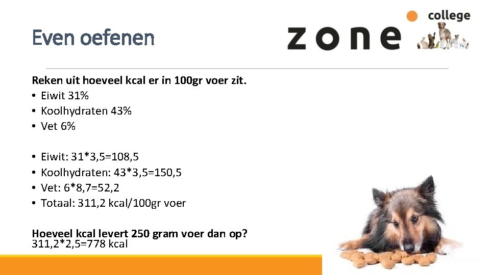 Even oefenen Reken uit hoeveel kcal er in 100 gr voer zit. • Eiwit