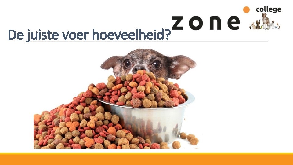 De juiste voer hoeveelheid? 