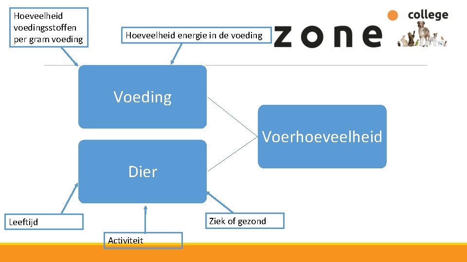 Hoeveelheid voedingsstoffen per gram voeding Hoeveelheid energie in de voeding Voerhoeveelheid Dier Ziek of