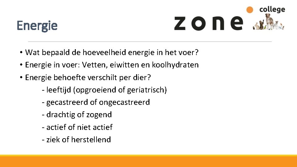 Energie • Wat bepaald de hoeveelheid energie in het voer? • Energie in voer: