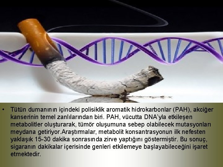  • Tütün dumanının içindeki polisiklik aromatik hidrokarbonlar (PAH), akciğer kanserinin temel zanlılarından biri.