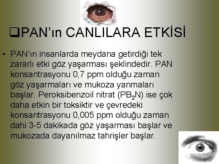 q. PAN’ın CANLILARA ETKİSİ • PAN’ın insanlarda meydana getirdiği tek zararlı etki göz yaşarması