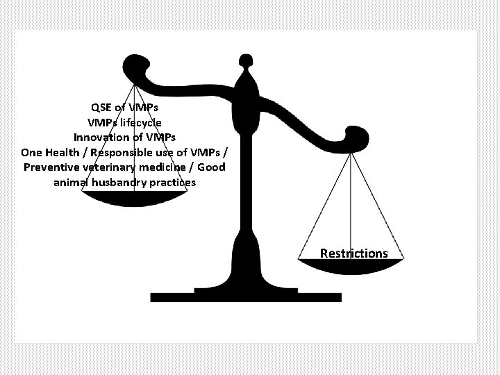 QSE of VMPs lifecycle Innovation of VMPs One Health / Responsible use of VMPs