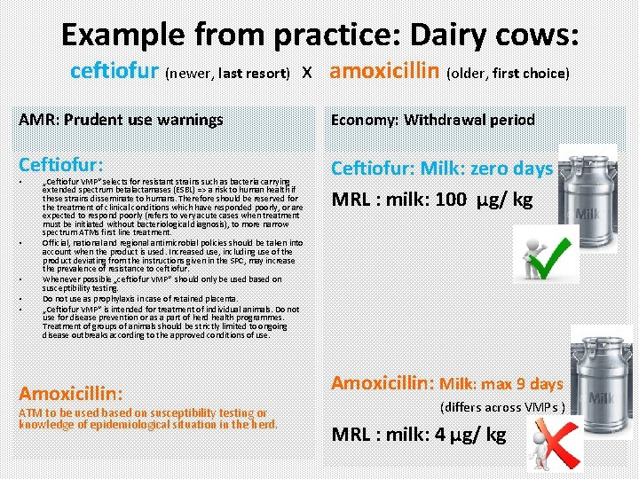 Example from practice: Dairy cows: ceftiofur (newer, last resort) x amoxicillin (older, first choice)