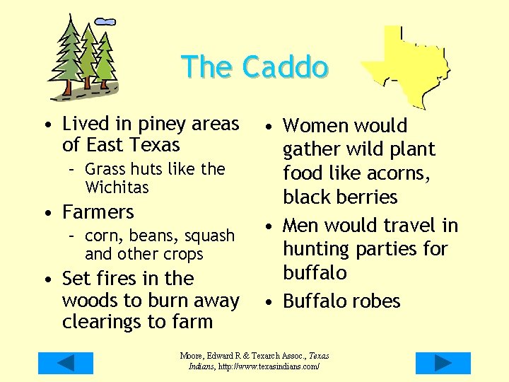 The Caddo • Lived in piney areas of East Texas – Grass huts like