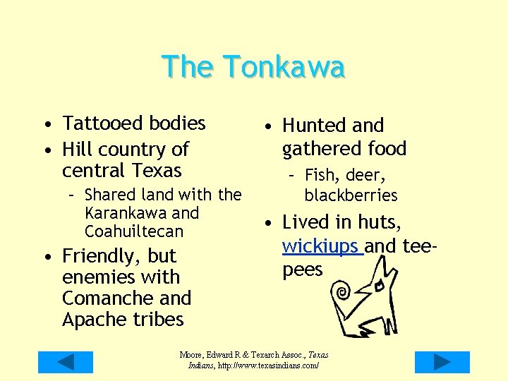 The Tonkawa • Tattooed bodies • Hill country of central Texas – Shared land