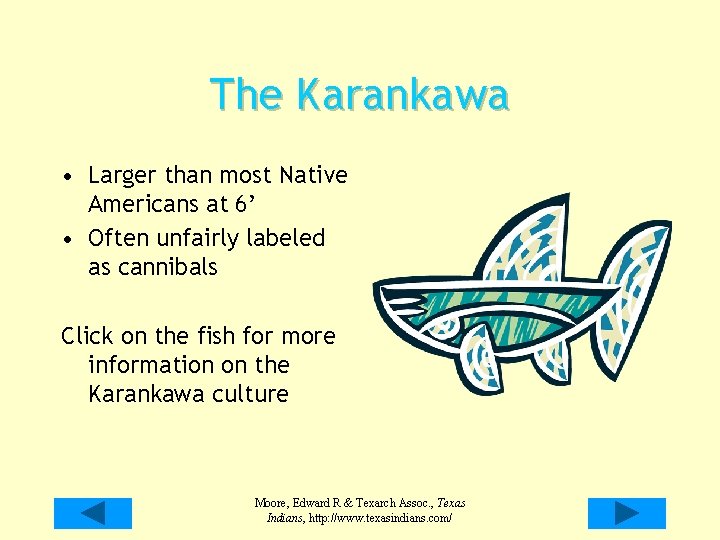 The Karankawa • Larger than most Native Americans at 6’ • Often unfairly labeled