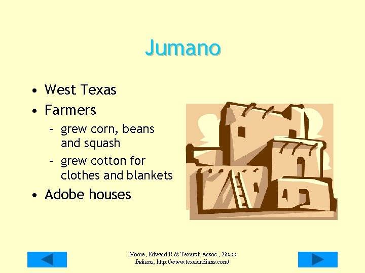 Jumano • West Texas • Farmers – grew corn, beans and squash – grew