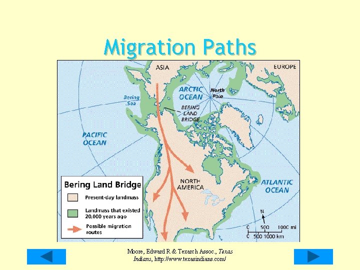 Migration Paths Moore, Edward R & Texarch Assoc. , Texas Indians, http: //www. texasindians.