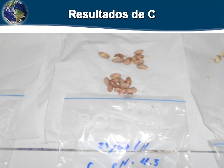 Resultados de C 