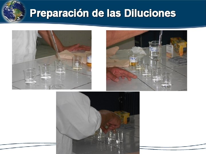 Preparación de las Diluciones 