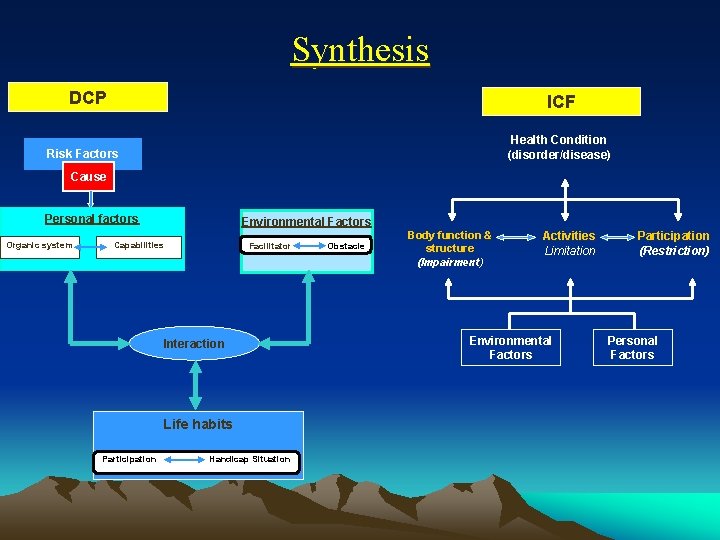 Synthesis DCP ICF Health Condition (disorder/disease) Risk Factors Cause Personal factors Organic system Environmental