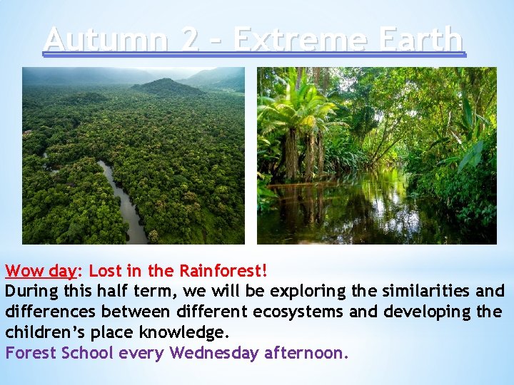 Autumn 2 – Extreme Earth Wow day: Lost in the Rainforest! During this half