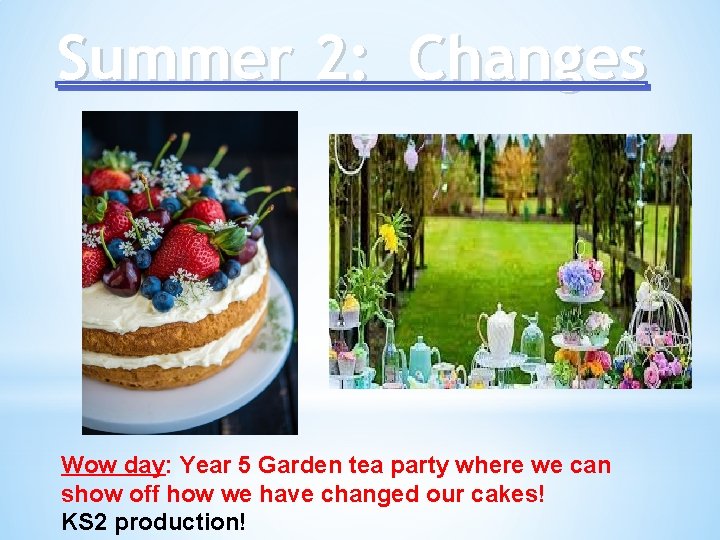 Summer 2: Changes Wow day: Year 5 Garden tea party where we can show