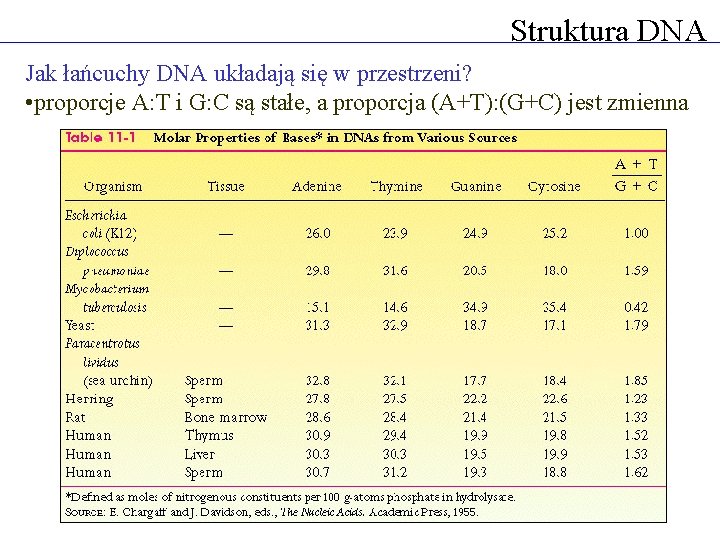 Struktura DNA Jak łańcuchy DNA układają się w przestrzeni? • proporcje A: T i