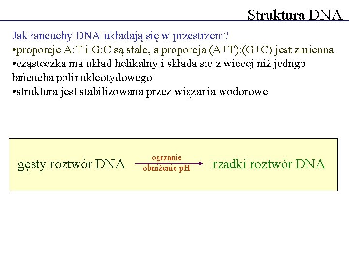 Struktura DNA Jak łańcuchy DNA układają się w przestrzeni? • proporcje A: T i