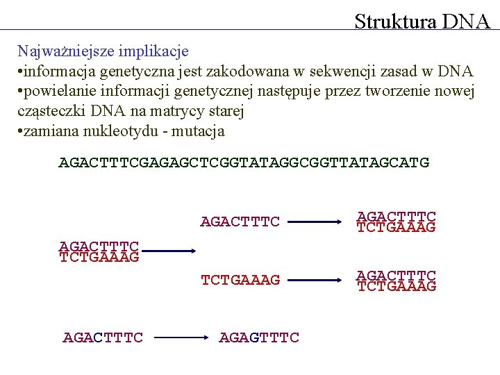 Struktura DNA Najważniejsze implikacje • informacja genetyczna jest zakodowana w sekwencji zasad w DNA