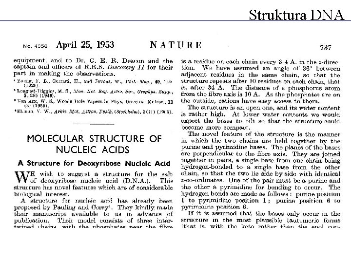 Struktura DNA 