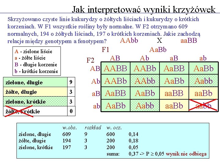 Jak interpretować wyniki krzyżówek Skrzyżowano czyste linie kukurydzy o żółtych liściach i kukurydzy o