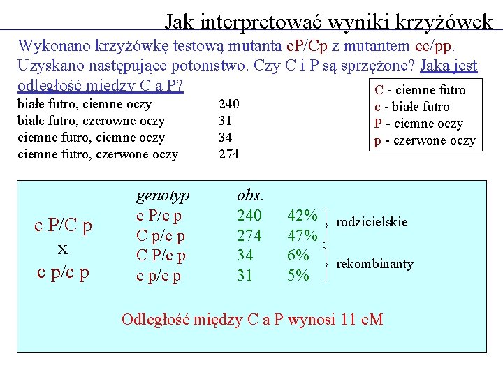 Jak interpretować wyniki krzyżówek Wykonano krzyżówkę testową mutanta c. P/Cp z mutantem cc/pp. Uzyskano