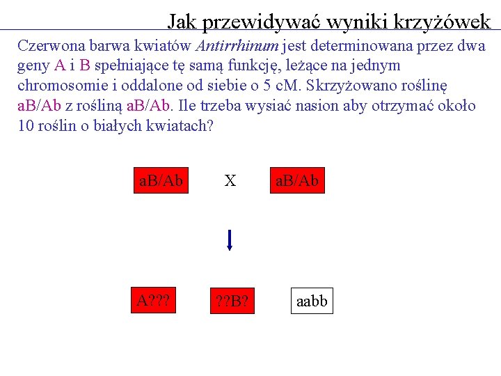 Jak przewidywać wyniki krzyżówek Czerwona barwa kwiatów Antirrhinum jest determinowana przez dwa geny A