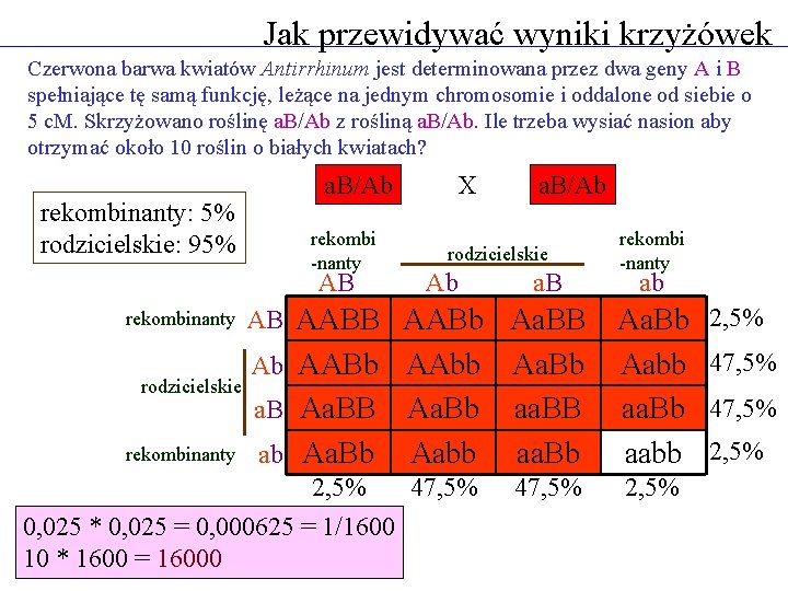 Jak przewidywać wyniki krzyżówek Czerwona barwa kwiatów Antirrhinum jest determinowana przez dwa geny A