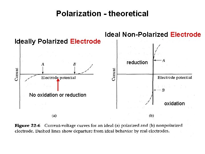 Polarization - theoretical Ideally Polarized Electrode Ideal Non-Polarized Electrode reduction No oxidation or reduction