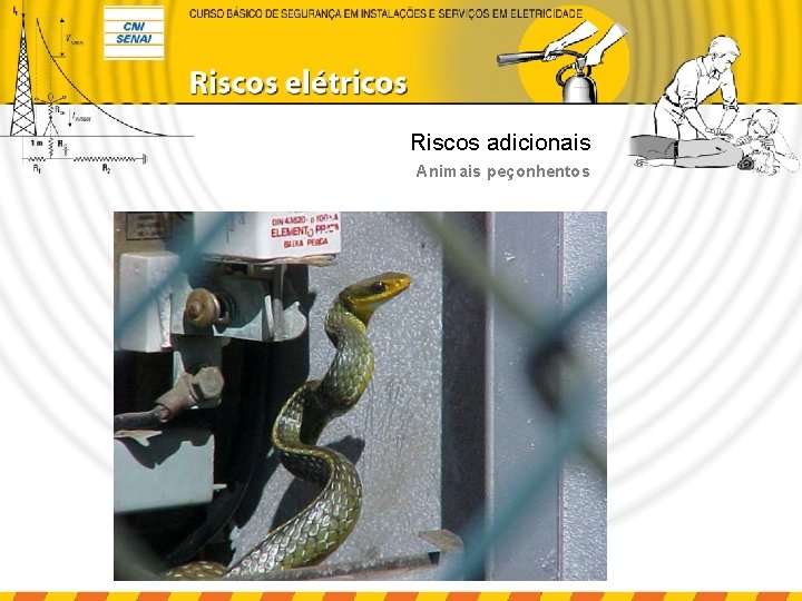 Riscos adicionais Animais peçonhentos 