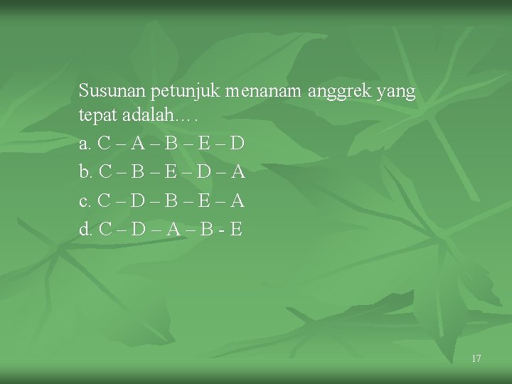 Susunan petunjuk menanam anggrek yang tepat adalah…. a. C – A – B –