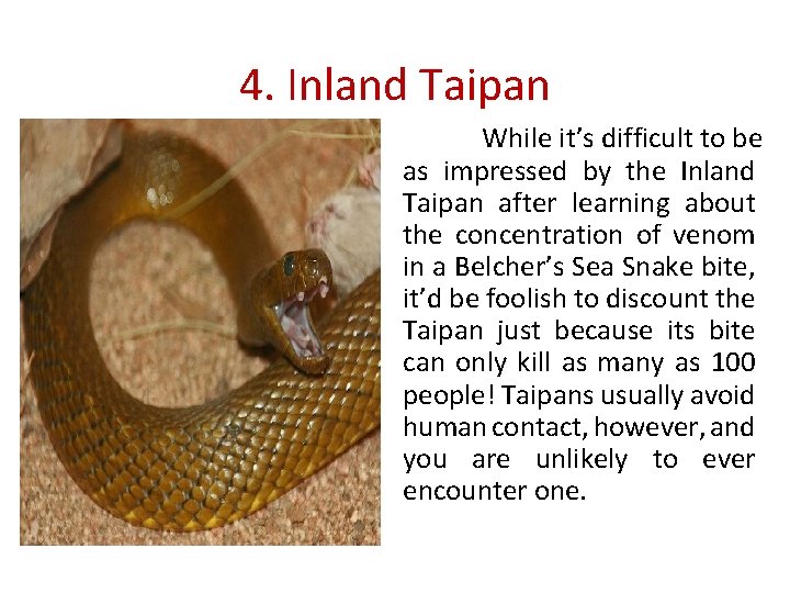 4. Inland Taipan While it’s difficult to be as impressed by the Inland Taipan