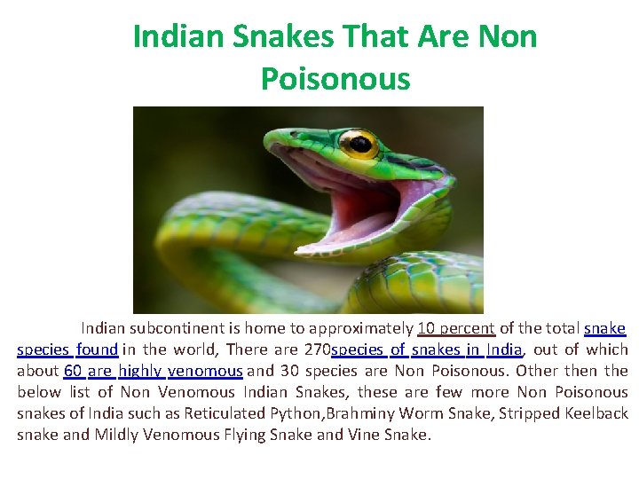 Indian Snakes That Are Non Poisonous Indian subcontinent is home to approximately 10 percent
