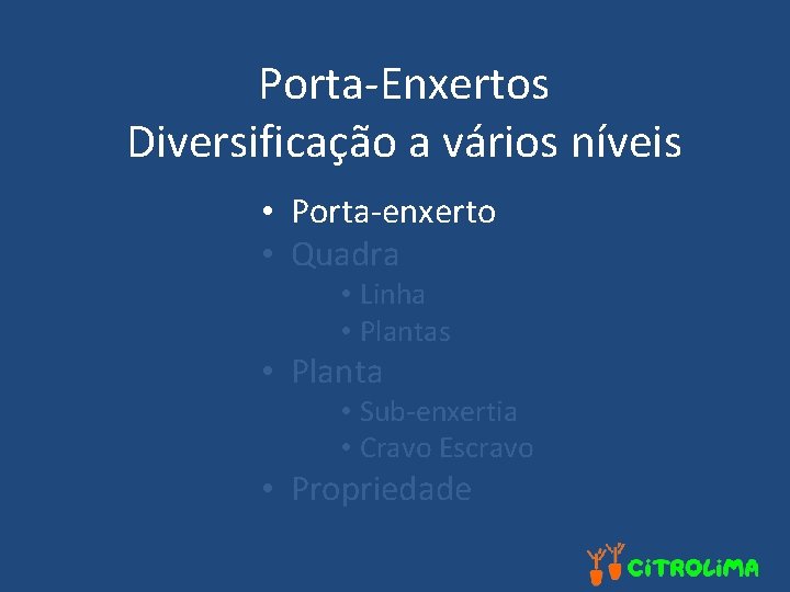 Porta-Enxertos Diversificação a vários níveis • Porta-enxerto • Quadra • Linha • Plantas •